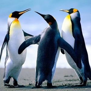 Meet your Posher, Eric